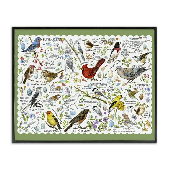Stupell Industries Various Bird Species Animals & Insects Painting Black Framed Art Print Wall Art, 14 x 11