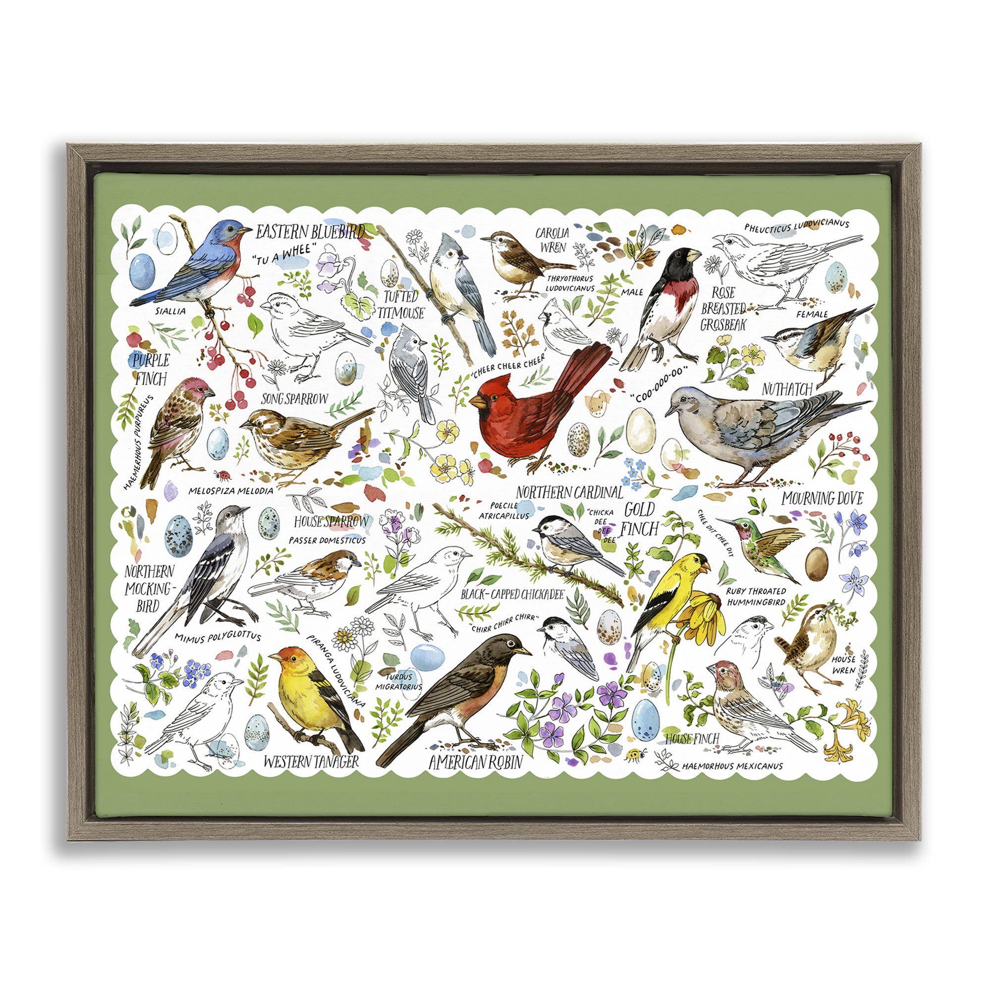 Stupell Industries Various Bird Species Animals & Insects Painting Brown Floater Framed Art Print Wall Art, 21 x 17