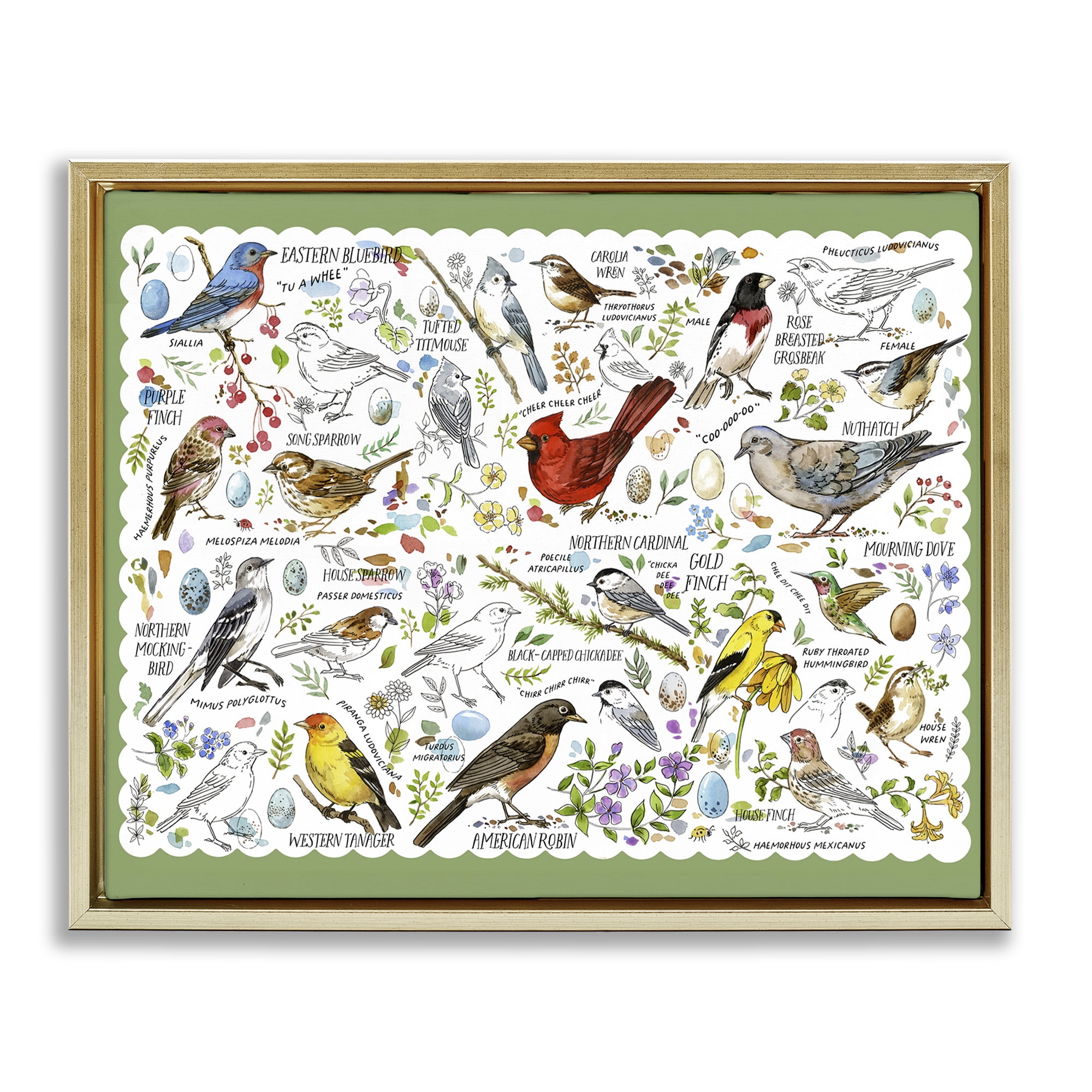 Stupell Industries Various Bird Species Animals & Insects Painting Gold Floater Framed Art Print Wall Art, 21 x 17