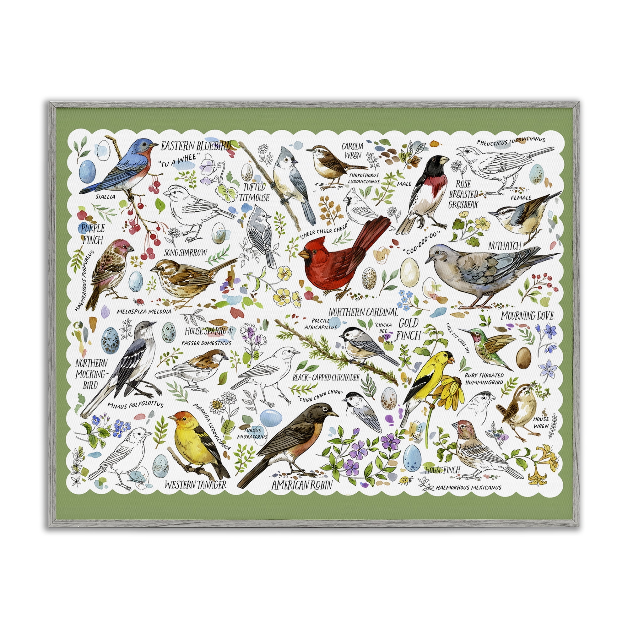 Stupell Industries Various Bird Species Animals & Insects Painting Gray Framed Art Print Wall Art, 14 x 11