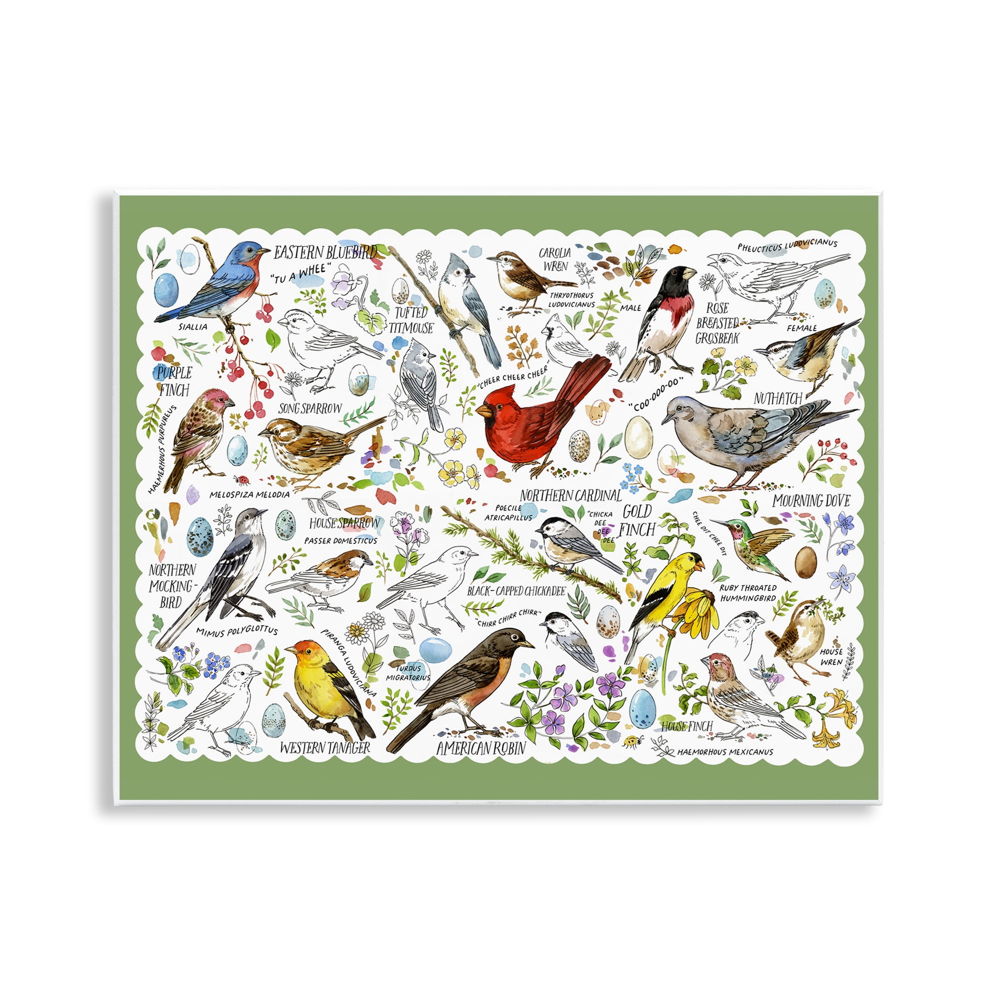 Stupell Industries Various Bird Species Animals & Insects Painting Unframed Art Print Wall Art, 14 x 11