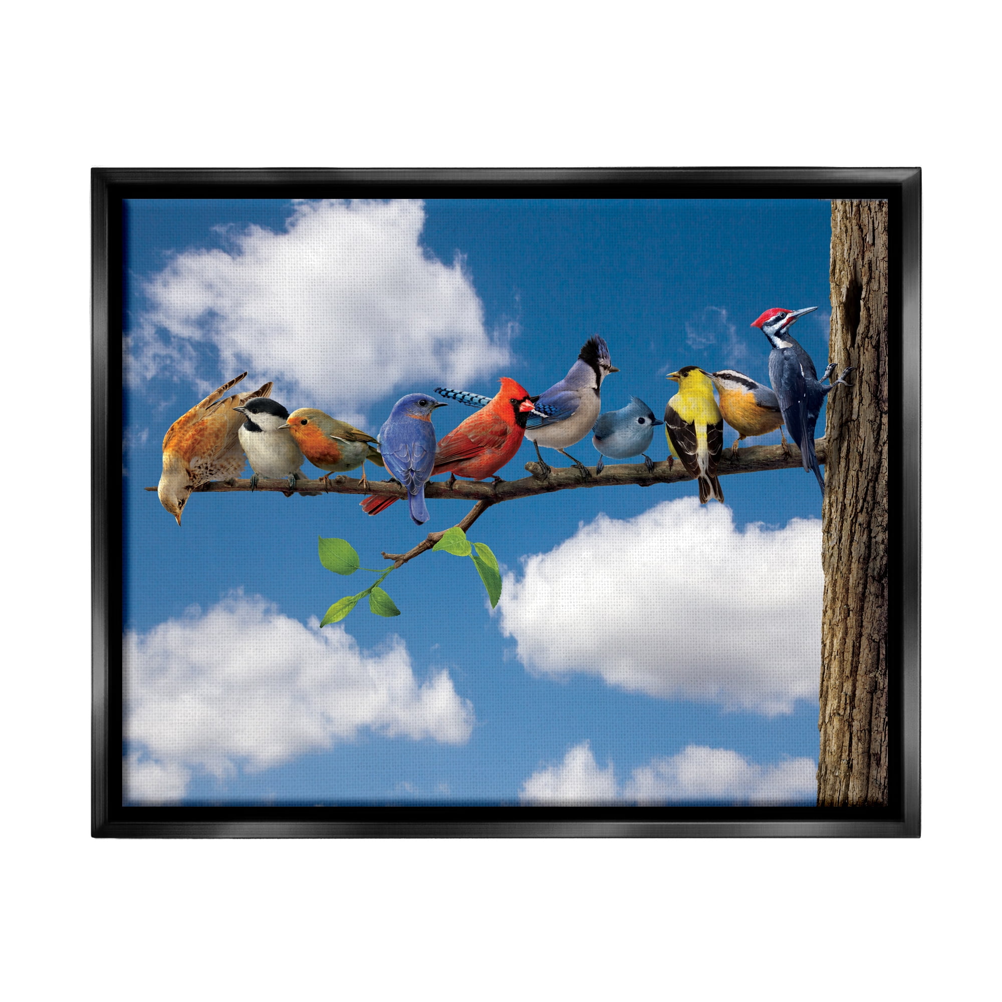 Stupell Industries Various Birds on Branch Animals & Insects Painting Black Floater Framed Canvas Art Print Wall Art, 21 x 17