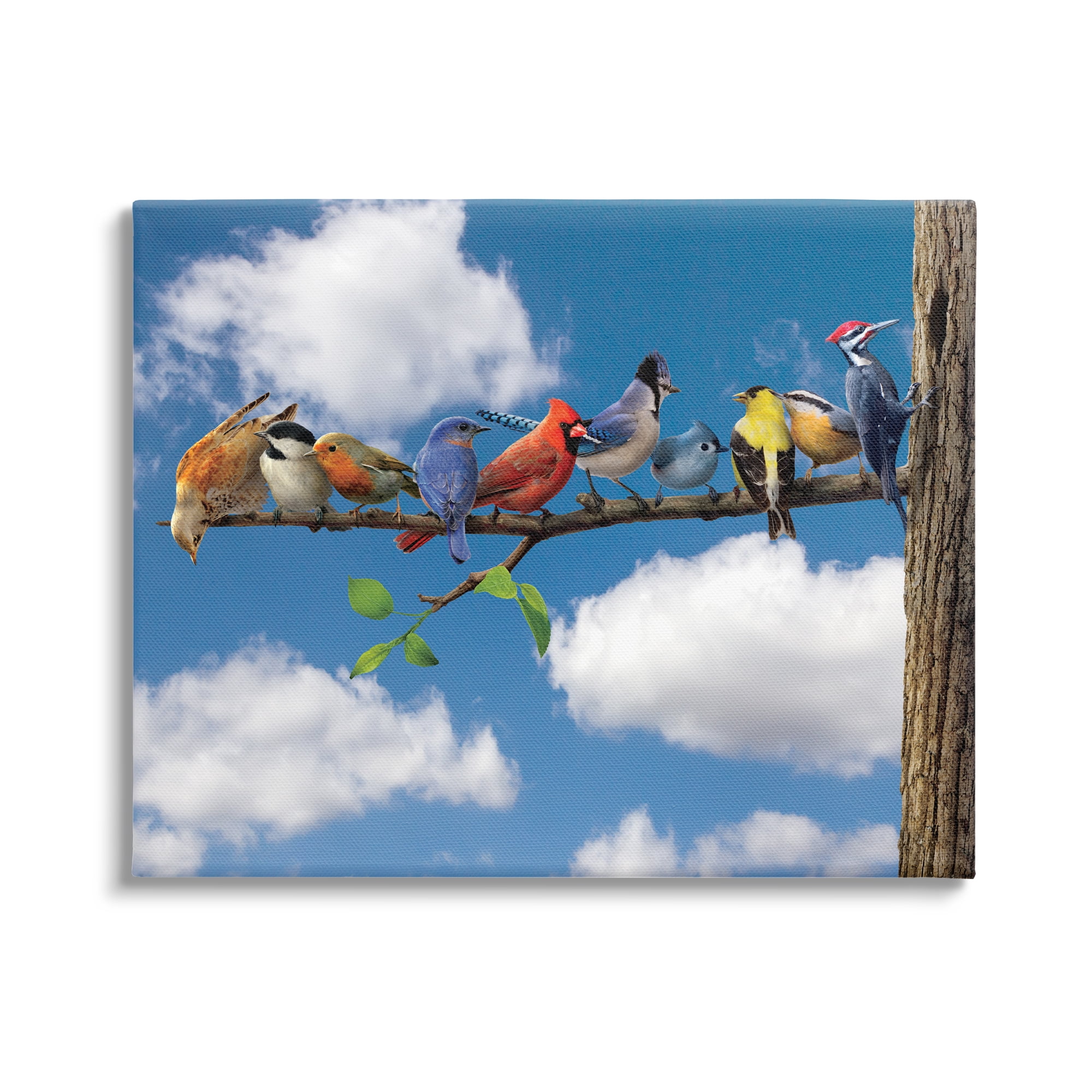 Stupell Industries Various Birds on Branch Animals & Insects Painting Gallery Wrapped Canvas Art Print Wall Art, 20 x 16