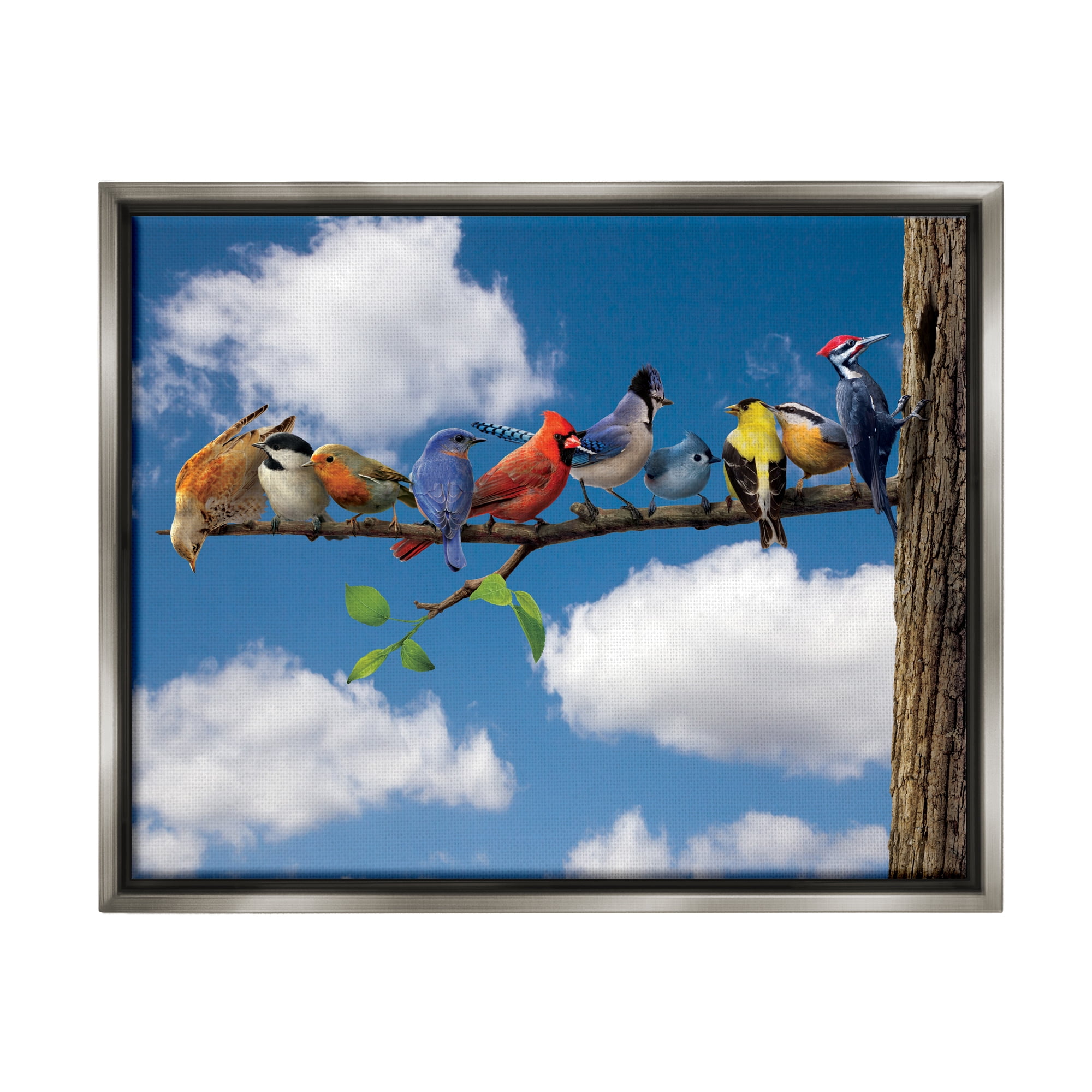 Stupell Industries Various Birds on Branch Animals & Insects Painting Gray Floater Framed Canvas Art Print Wall Art, 31 x 25
