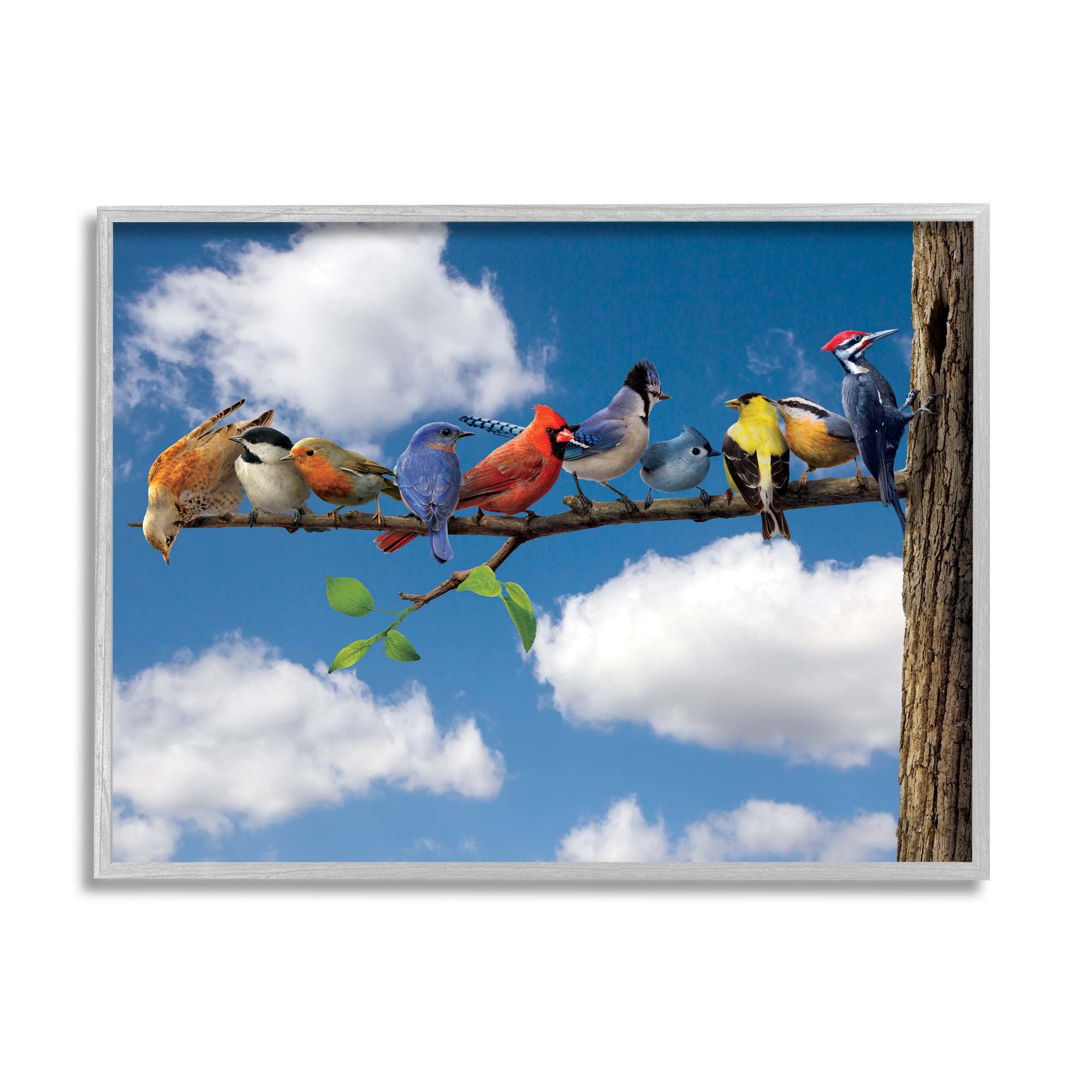 Stupell Industries Various Birds on Branch Animals & Insects Painting Gray Framed Art Print Wall Art, 30 x 24