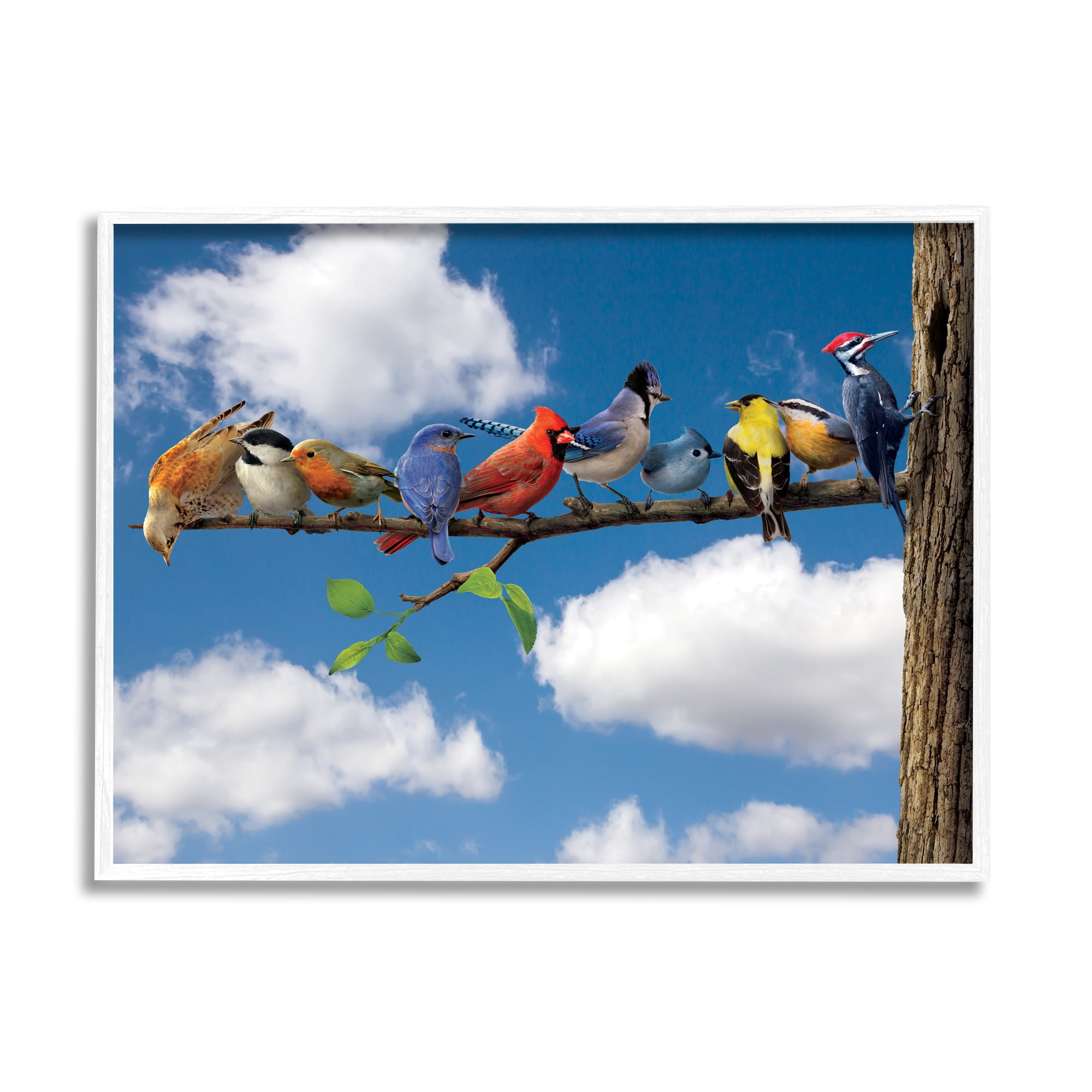 Stupell Industries Various Birds on Branch Animals & Insects Painting White Framed Art Print Wall Art, 14 x 11
