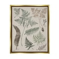 thumbnail image 1 of Stupell Industries Various Botanical Leaves Latin Study Informative Page Graphic Art Metallic Gold Floating Framed Canvas Print Wall Art, Design by Elizabeth Medley, 1 of 5
