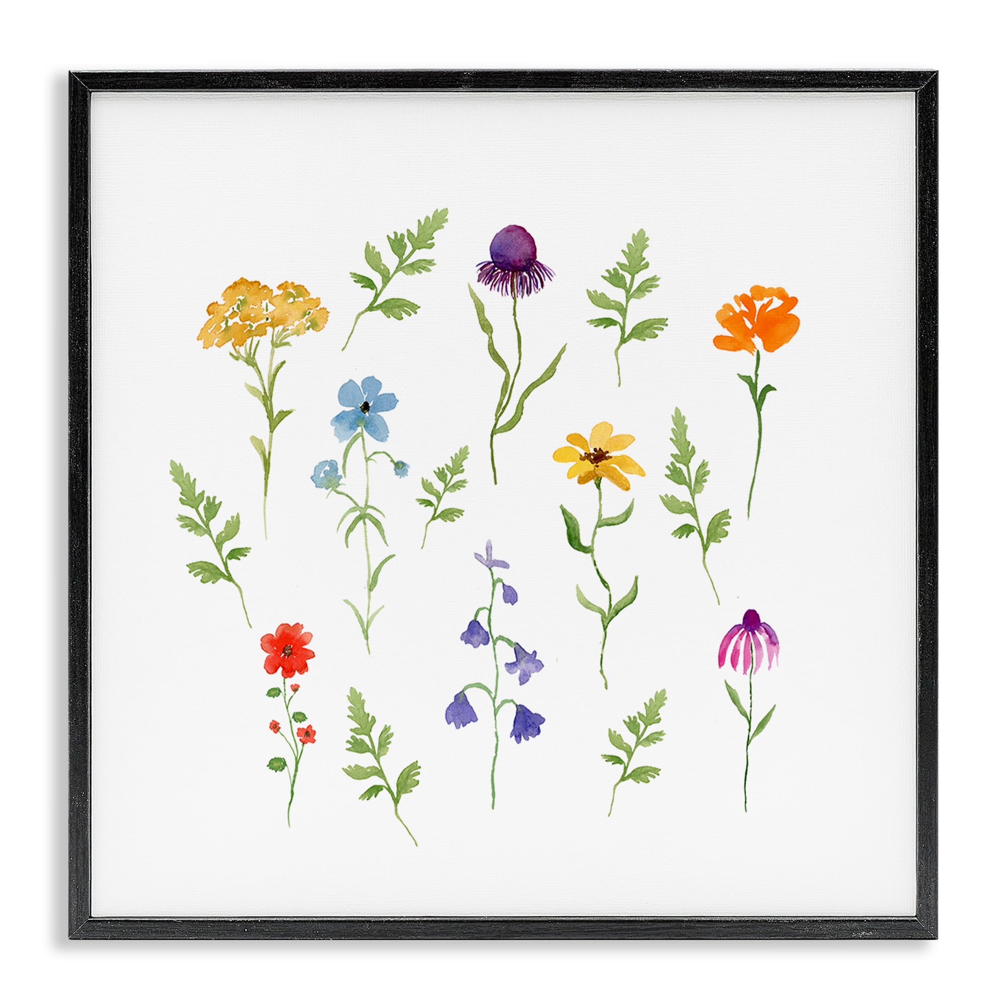 Stupell Industries Various Cottage Herbs Plants & Flowers Painting Black Framed Art Print Wall Art, 12 x 12