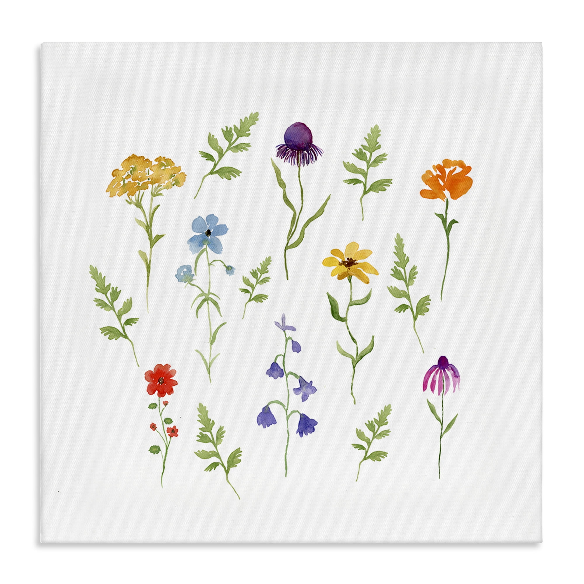 Stupell Industries Various Cottage Herbs Plants & Flowers Painting Wrapped Canvas Art Print Wall Art, 24 x 24