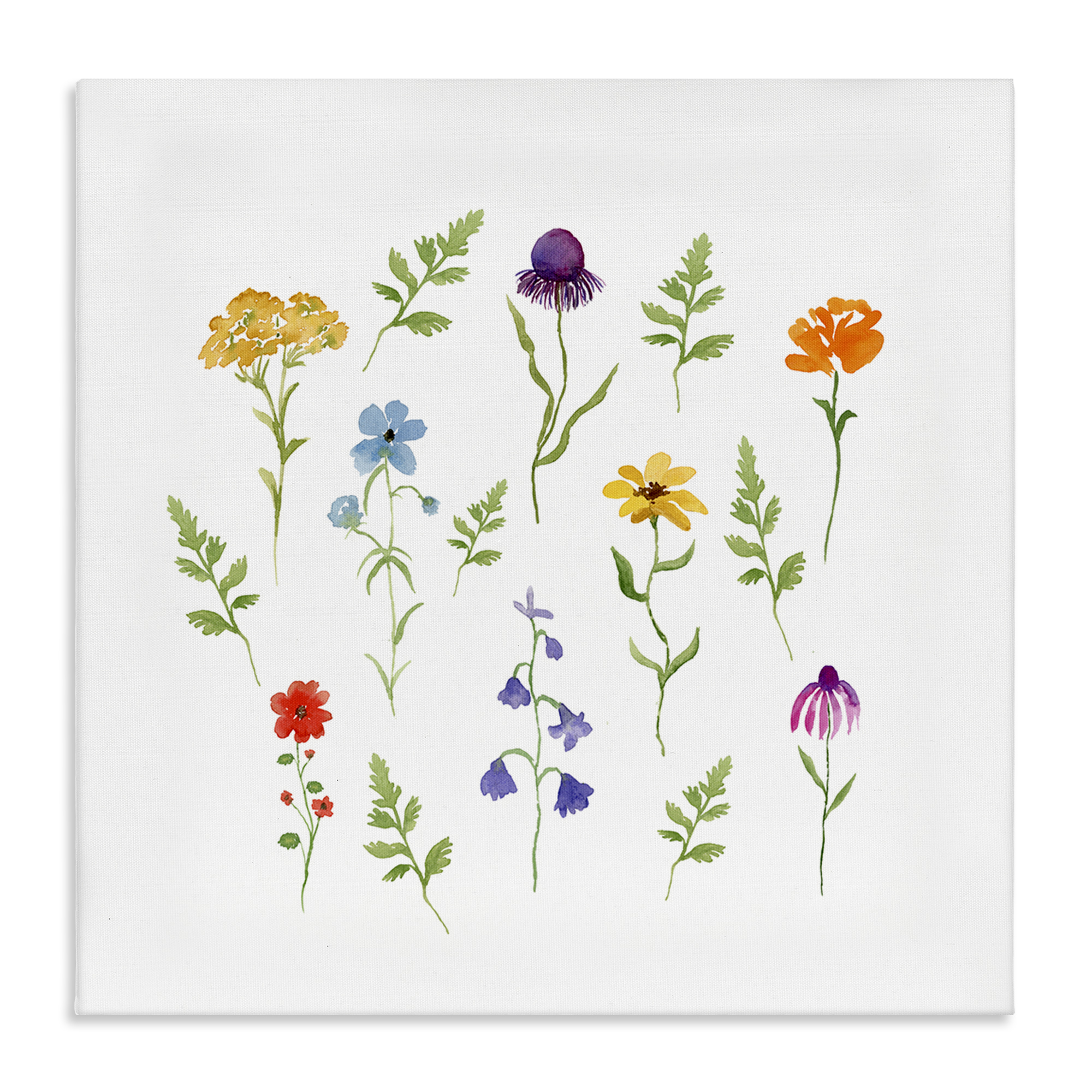 Stupell Industries Various Cottage Herbs Plants & Flowers Painting Wrapped Canvas Art Print Wall Art, 30 x 30