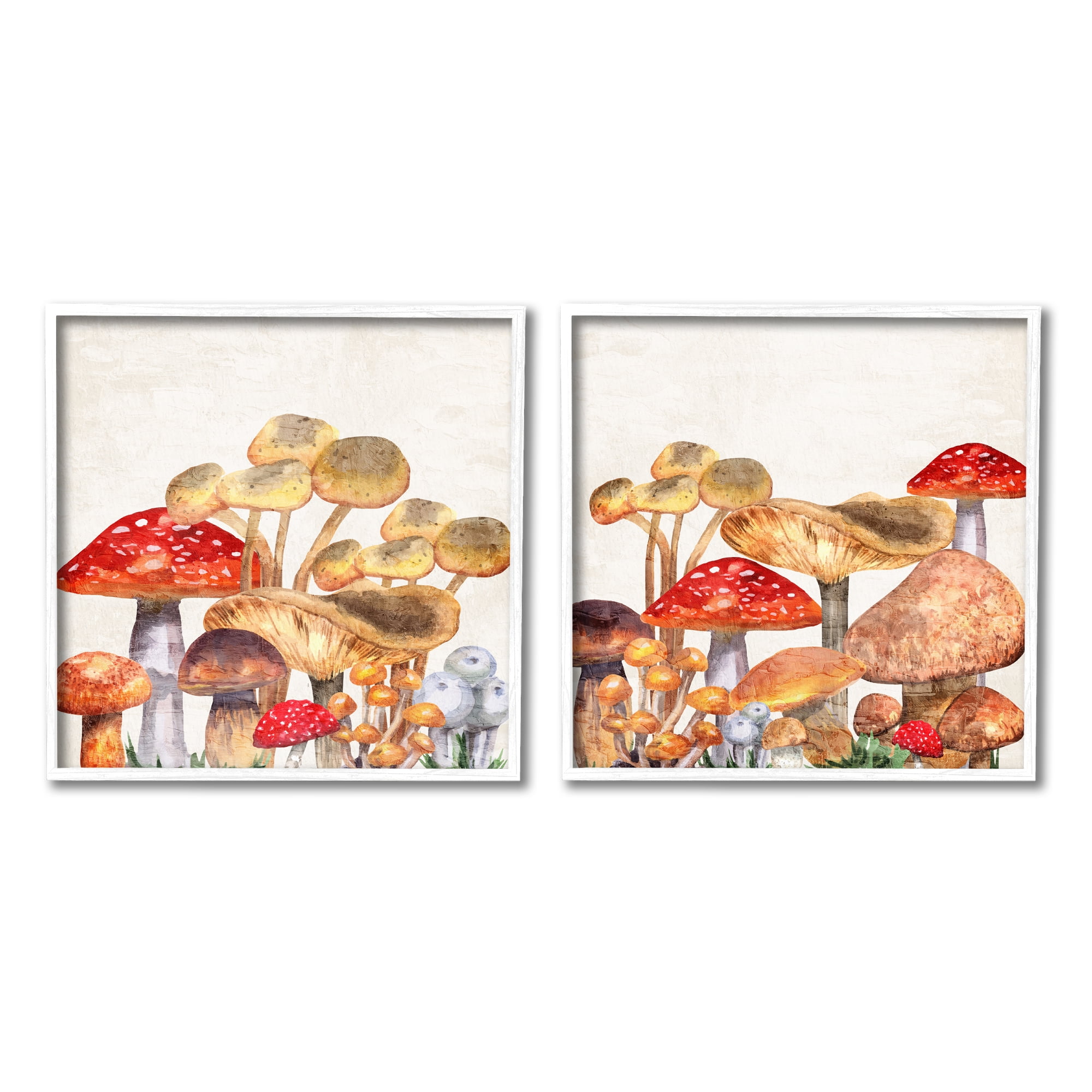 Stupell Industries Various Cottage Mushrooms Botanical & Floral Painting White Framed Art Print Wall Art, 17 x 17, Set of 2