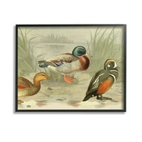 Stupell Industries Various Ducks by Pond Animals & Insects Painting Black Framed Art Print Wall Art, 14 x 11