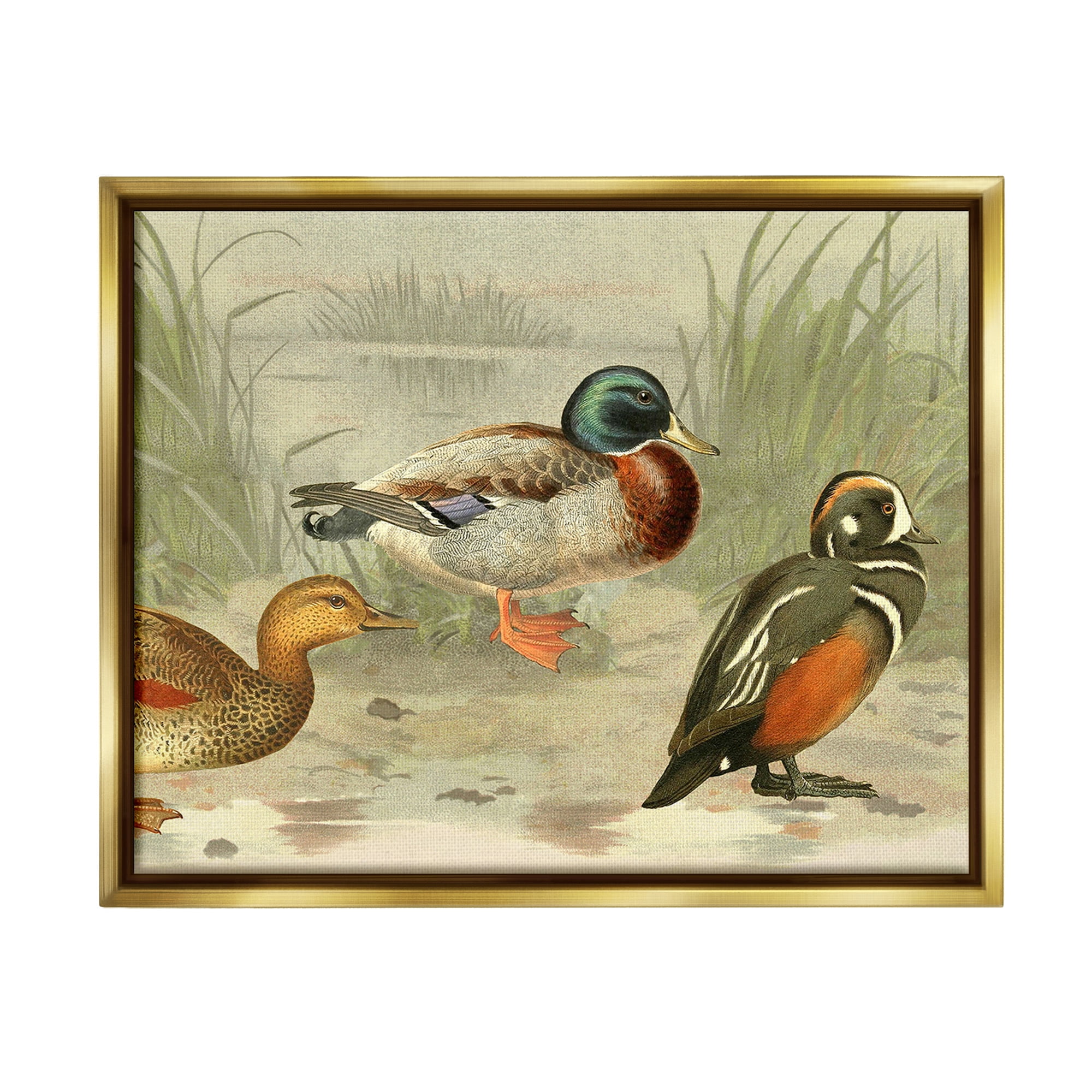 Stupell Industries Various Ducks by Pond Animals & Insects Painting Gold Floater Framed Canvas Art Print Wall Art, 31 x 25