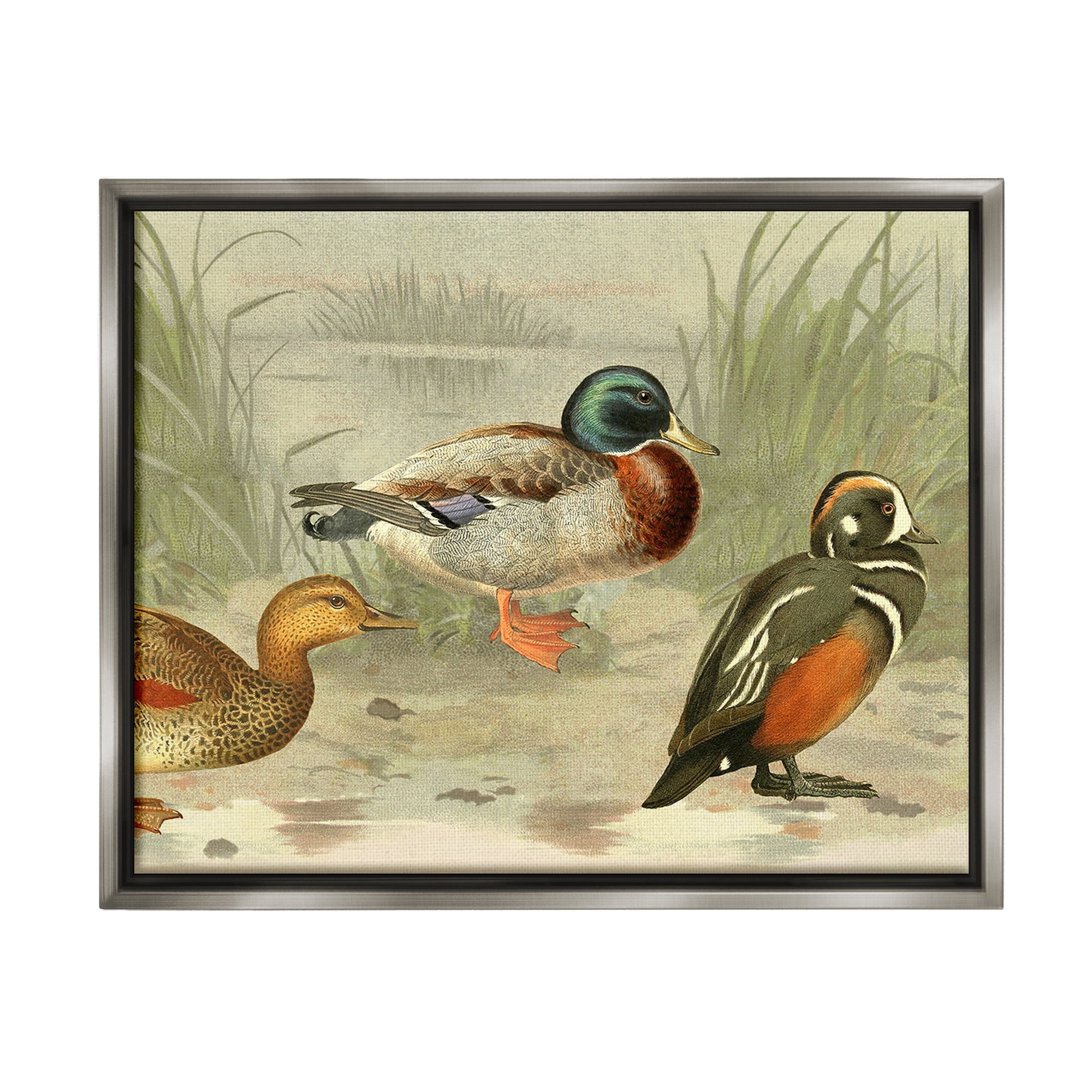Stupell Industries Various Ducks by Pond Animals & Insects Painting Gray Floater Framed Canvas Art Print Wall Art, 31 x 25