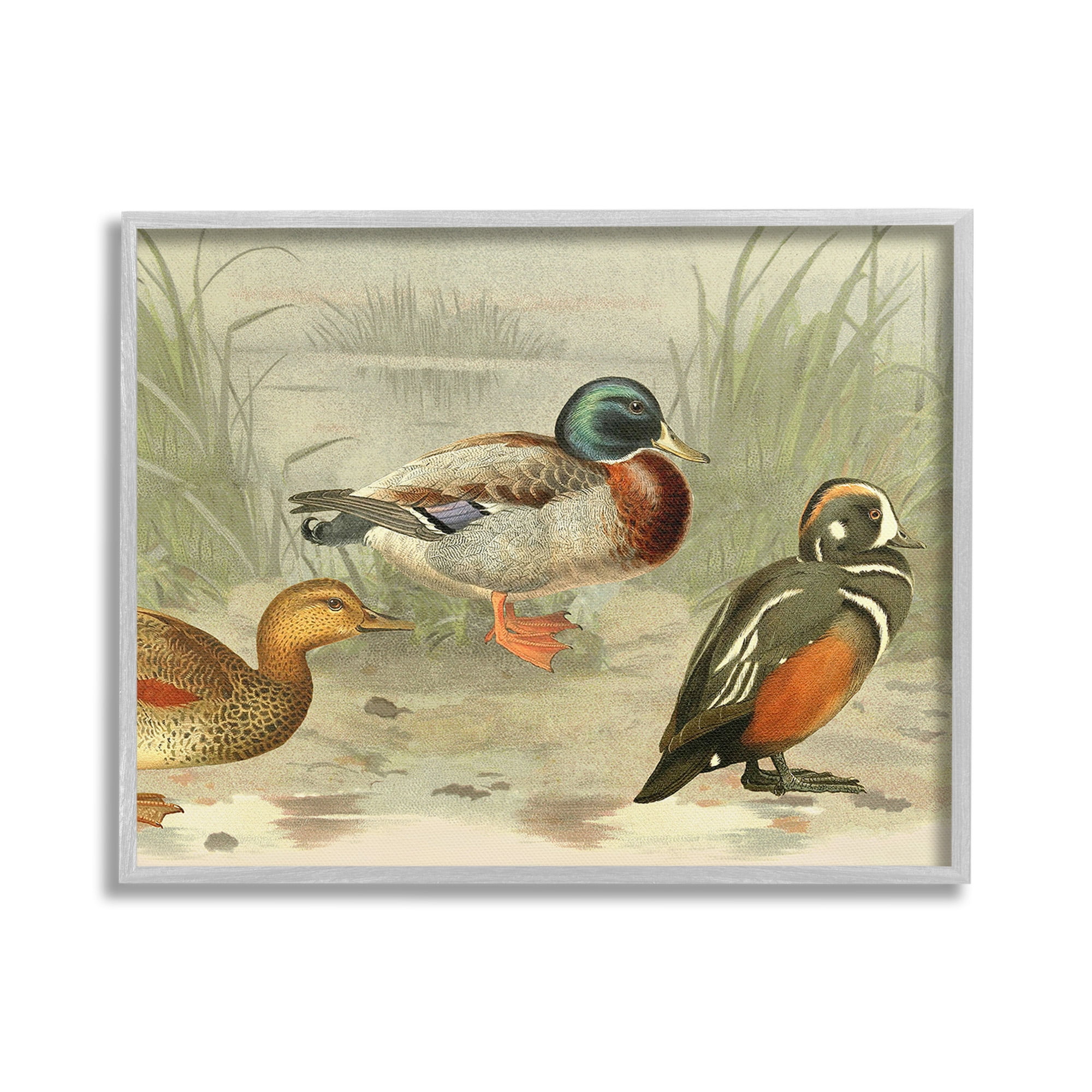 Gray Framed Canvas Print of Ducks by Pond, 20" x 16"