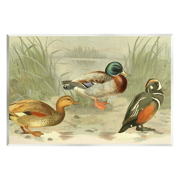 Stupell Industries Various Ducks by Pond Animals & Insects Painting Unframed Art Print Wall Art, 15 x 10
