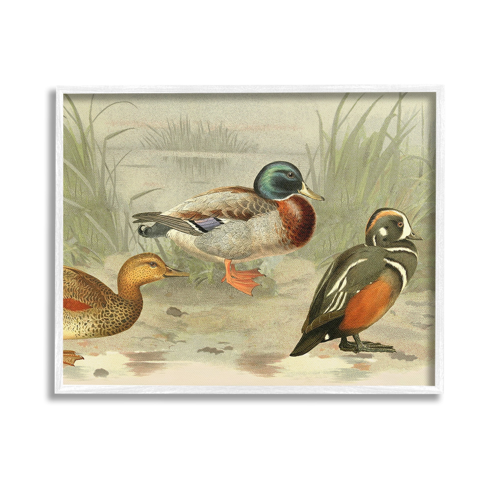 Stupell Industries Various Ducks by Pond Animals & Insects Painting White Framed Art Print Wall Art, 14 x 11