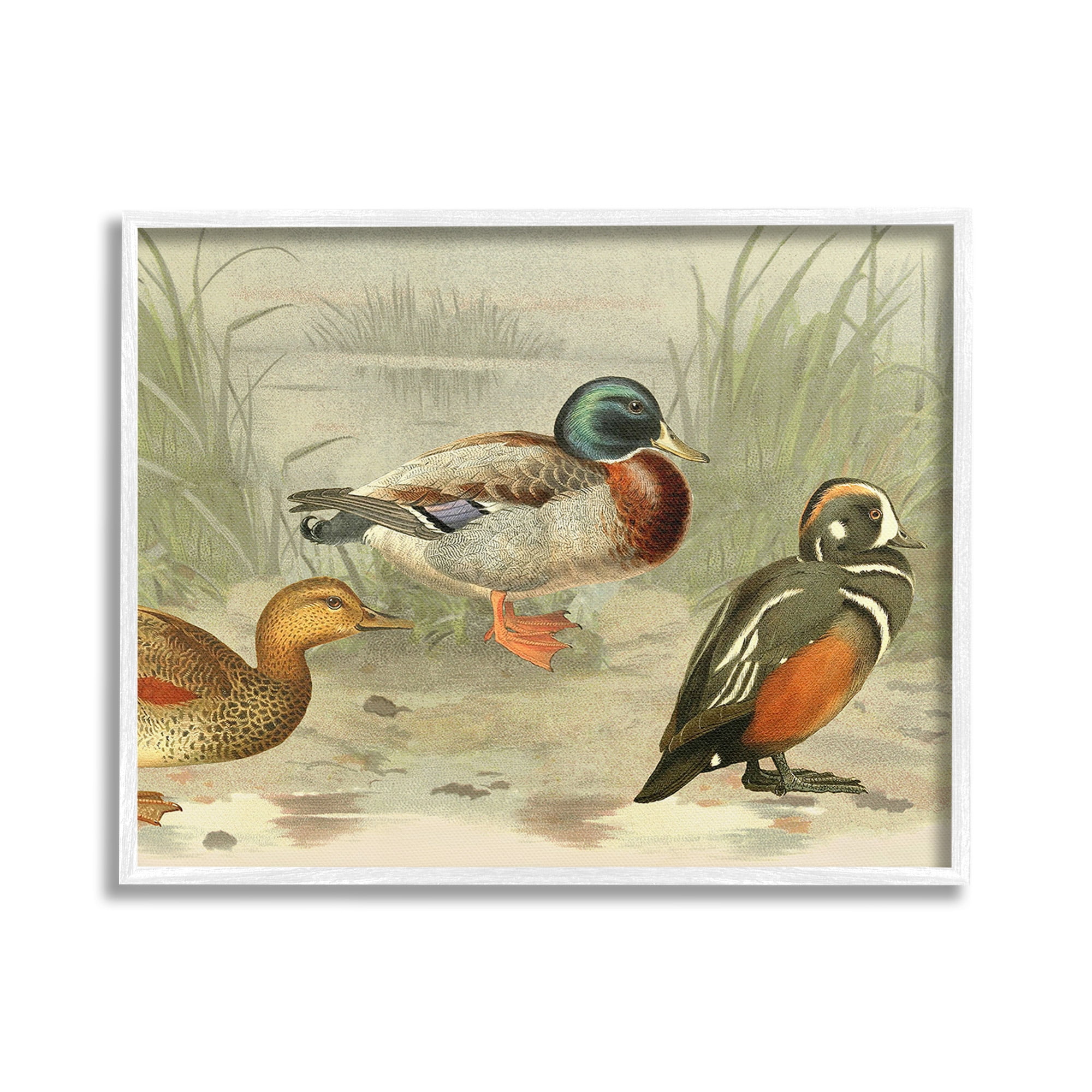 Stupell Industries Various Ducks by Pond Animals & Insects Painting White Framed Art Print Wall Art, 30 x 24