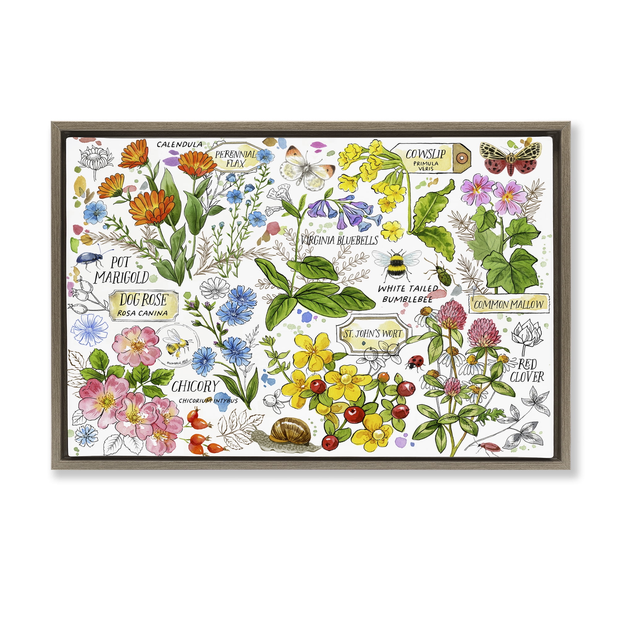 Stupell Industries Various Herbs Benefits Botanical & Floral Painting Brown Floater Framed Canvas Art Print Wall Art, 31 x 21