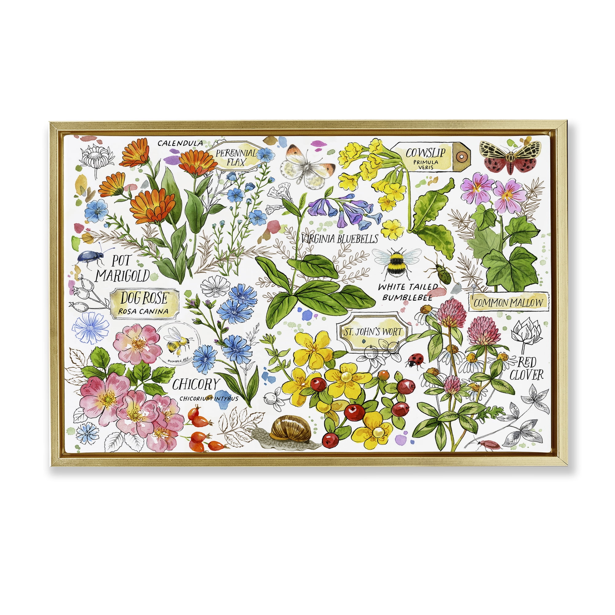 Stupell Industries Various Herbs Benefits Botanical & Floral Painting Gold Floater Framed Canvas Art Print Wall Art, 31 x 21