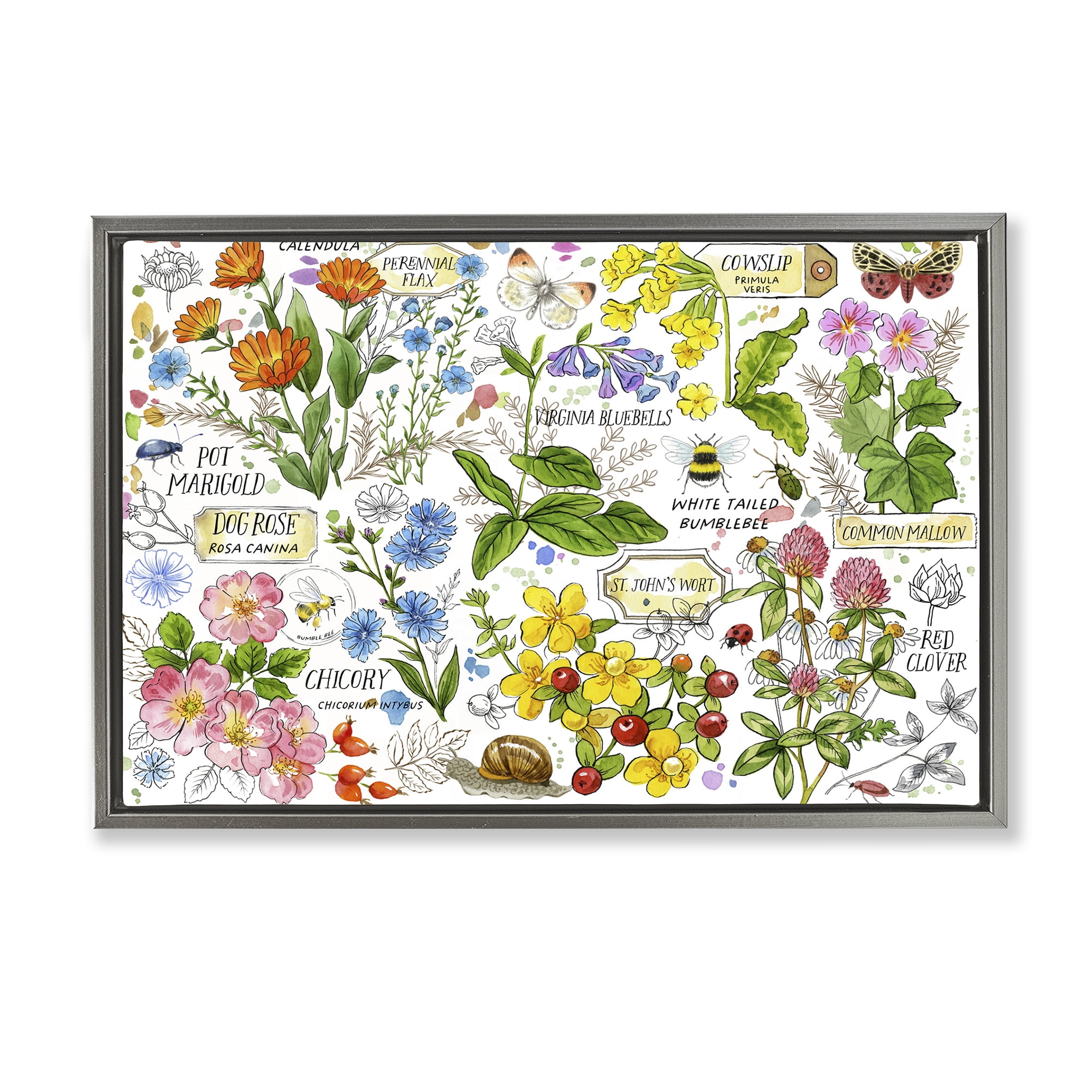 Stupell Industries Various Herbs Benefits Botanical & Floral Painting Gray Floater Framed Canvas Art Print Wall Art, 25 x 17
