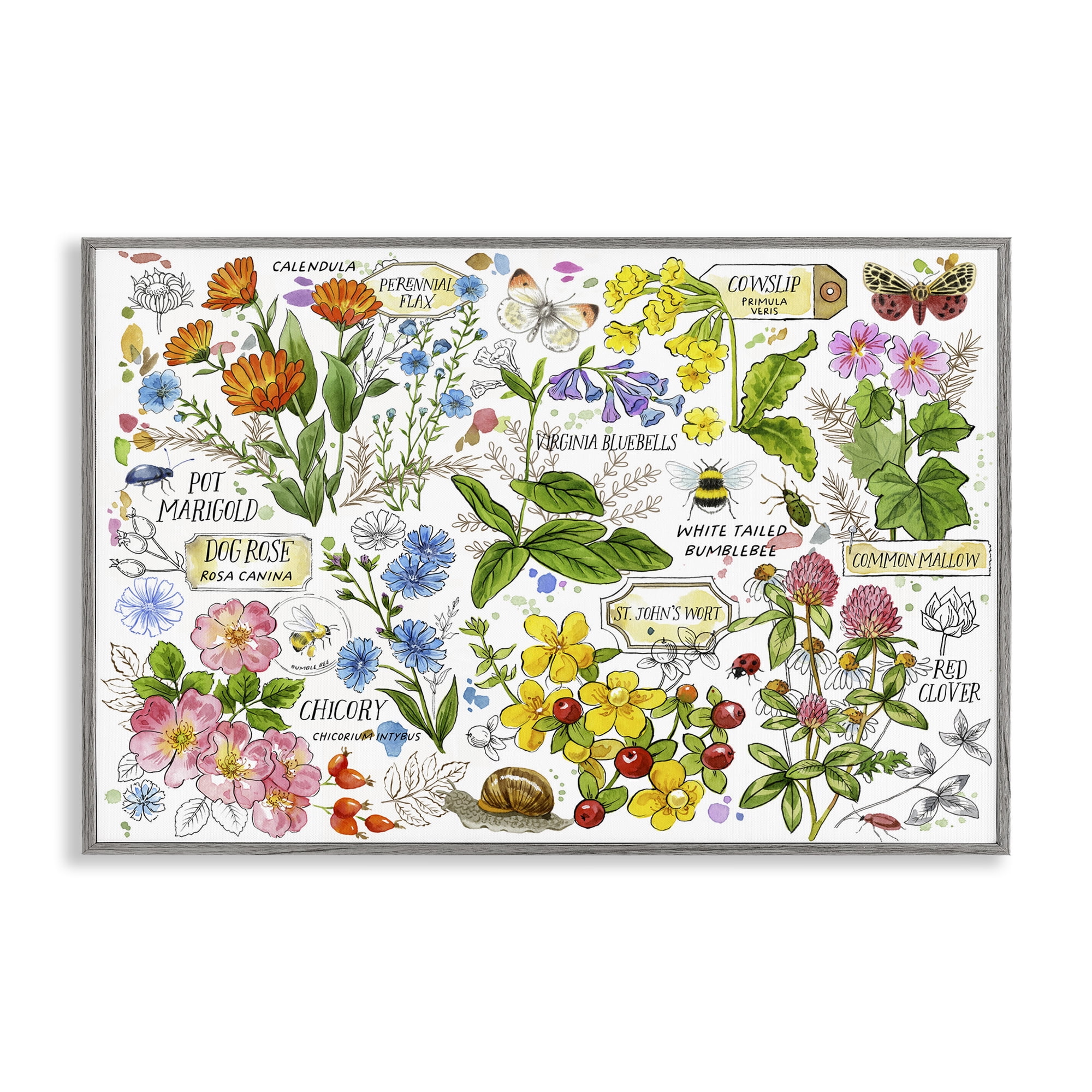Stupell Industries Various Herbs Benefits Botanical & Floral Painting Gray Framed Art Print Wall Art, 30 x 20