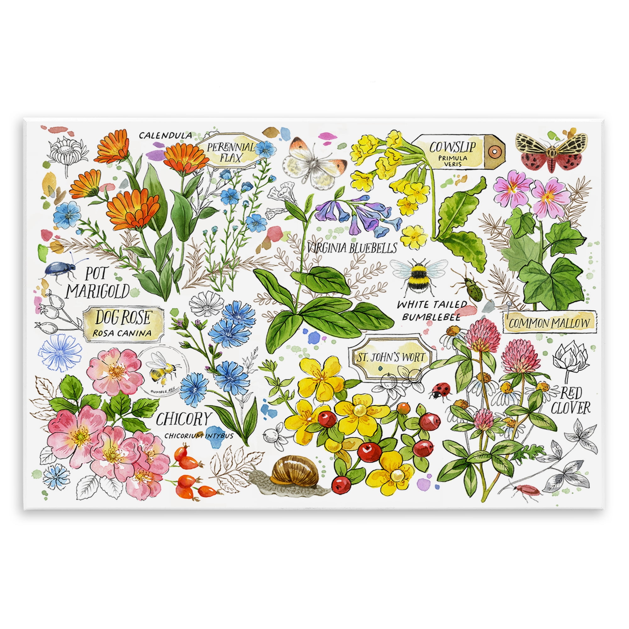 Stupell Industries Various Herbs Benefits Botanical & Floral Painting Unframed Art Print Wall Art, 15 x 10
