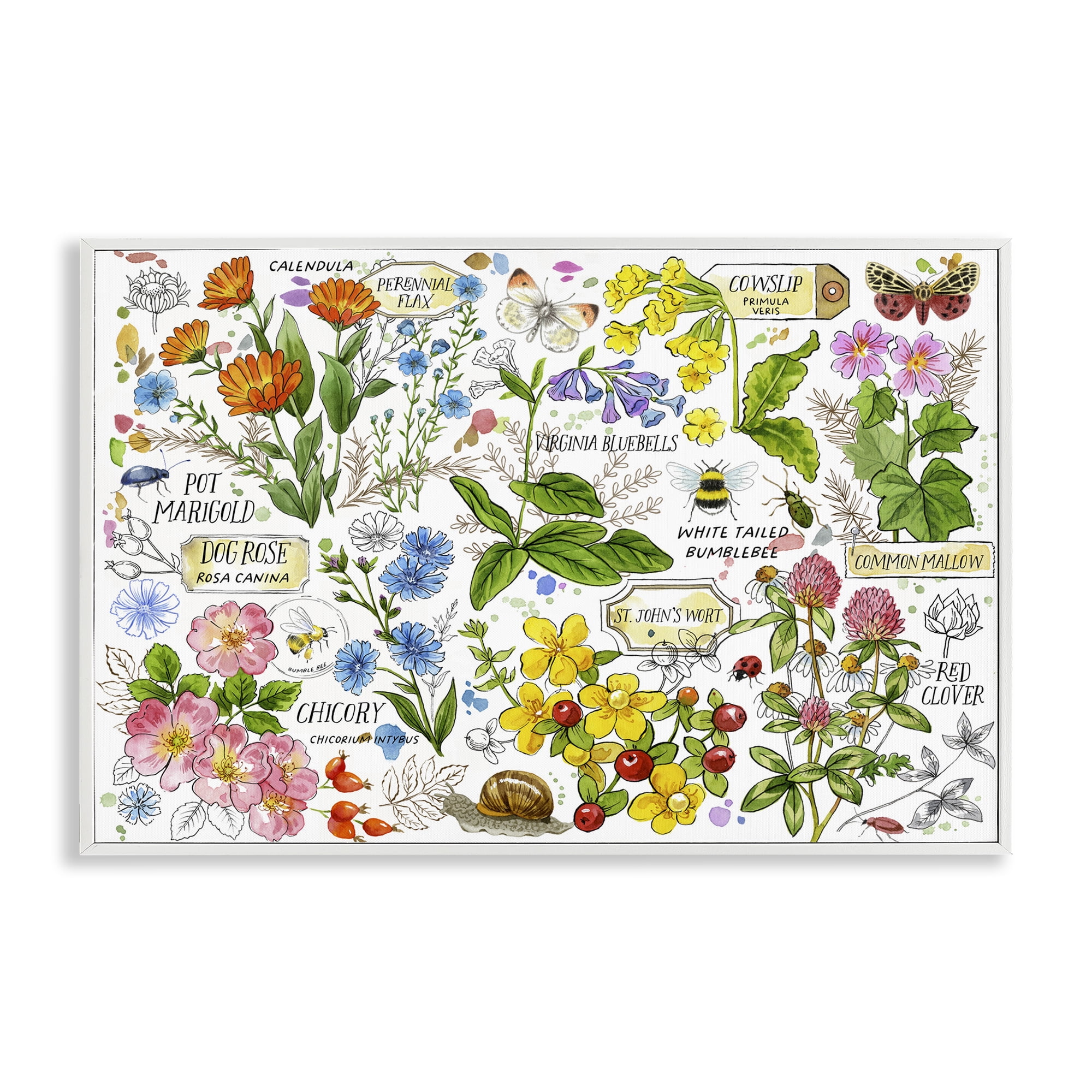 Stupell Industries Various Herbs Benefits Botanical & Floral Painting White Framed Art Print Wall Art, 18 x 12