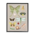 thumbnail image 1 of Stupell Industries Various Insect Studies Animals & Insects Painting Black Framed Art Print Wall Art, 11 x 14, 1 of 8