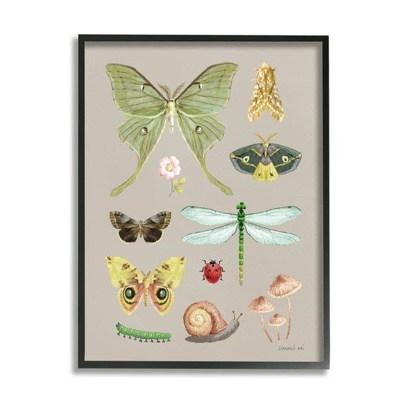 Stupell Industries Various Insect Studies Animals & Insects Painting Black Framed Art Print Wall Art, 11 x 14