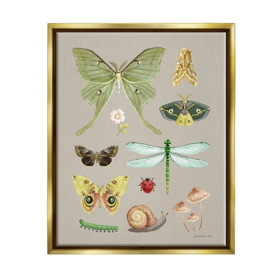 Stupell Industries Various Insect Studies Animals & Insects Painting Gold Floater Framed Art Print Wall Art, 17 x 21