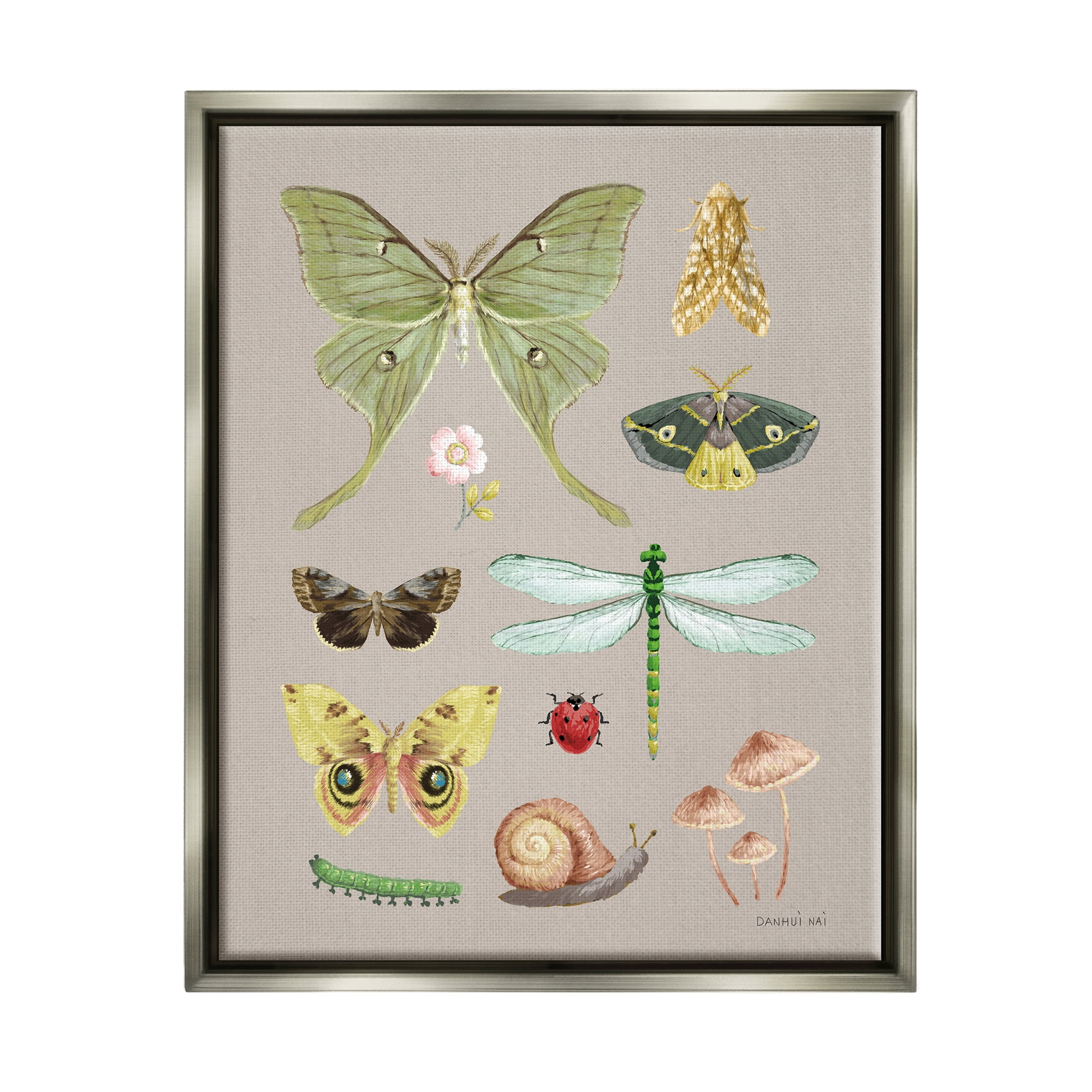 Stupell Industries Various Insect Studies Animals & Insects Painting Gray Floater Framed Art Print Wall Art, 25 x 31