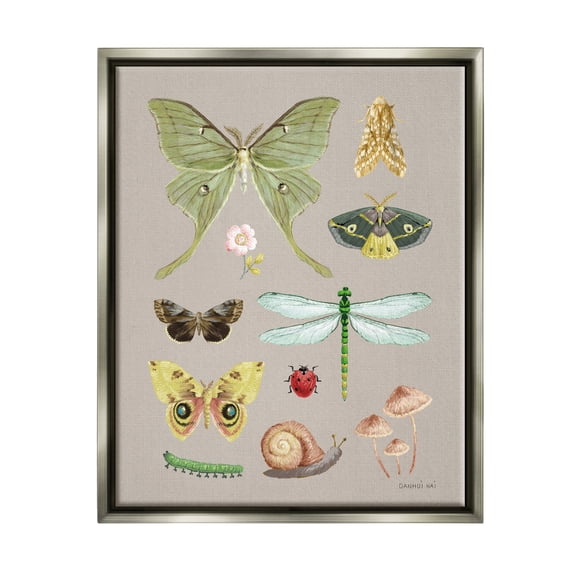 Stupell Industries Various Insect Studies Animals & Insects Painting Gray Floater Framed Art Print Wall Art, 25 x 31