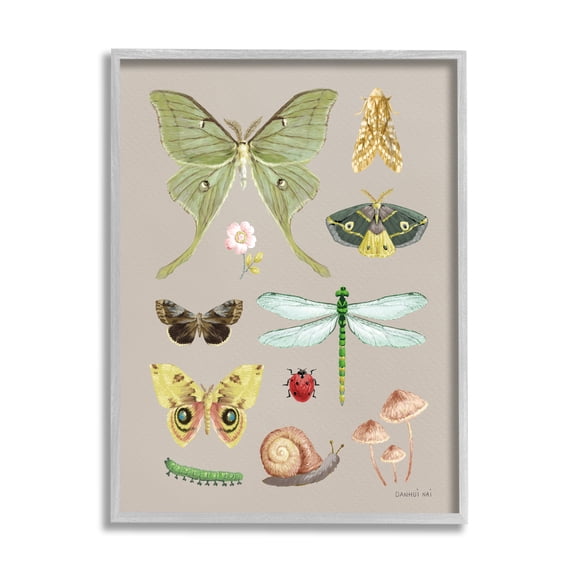 Stupell Industries Various Insect Studies Animals & Insects Painting Gray Framed Art Print Wall Art, 11 x 14