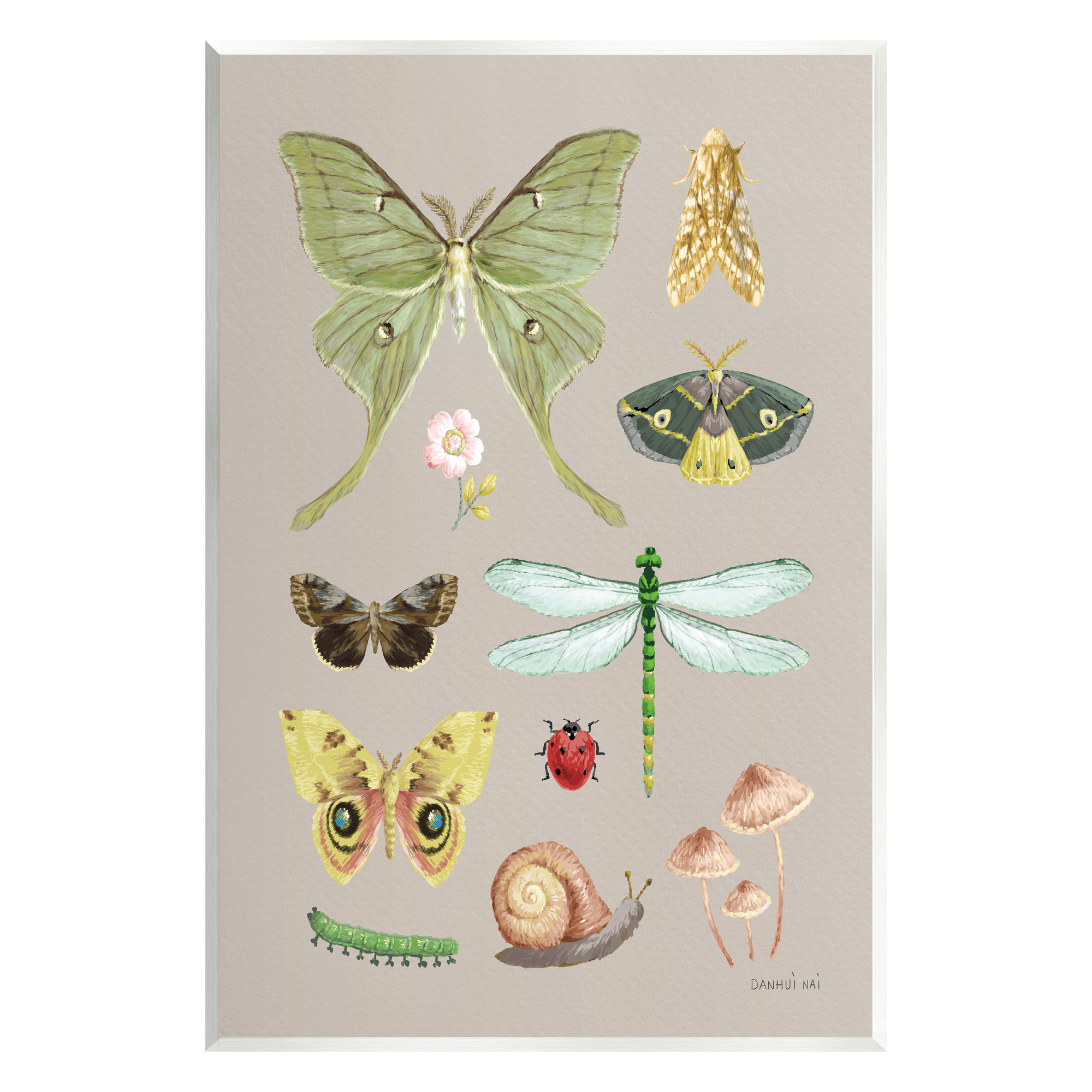 Stupell Industries Various Insect Studies Animals & Insects Painting Unframed Art Print Wall Art, 13 x 19