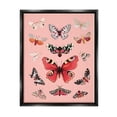 thumbnail image 1 of Stupell Industries Various Moths on Pink Animals & Insects Painting Black Floater Framed Art Print Wall Art, 17 x 21, 1 of 10