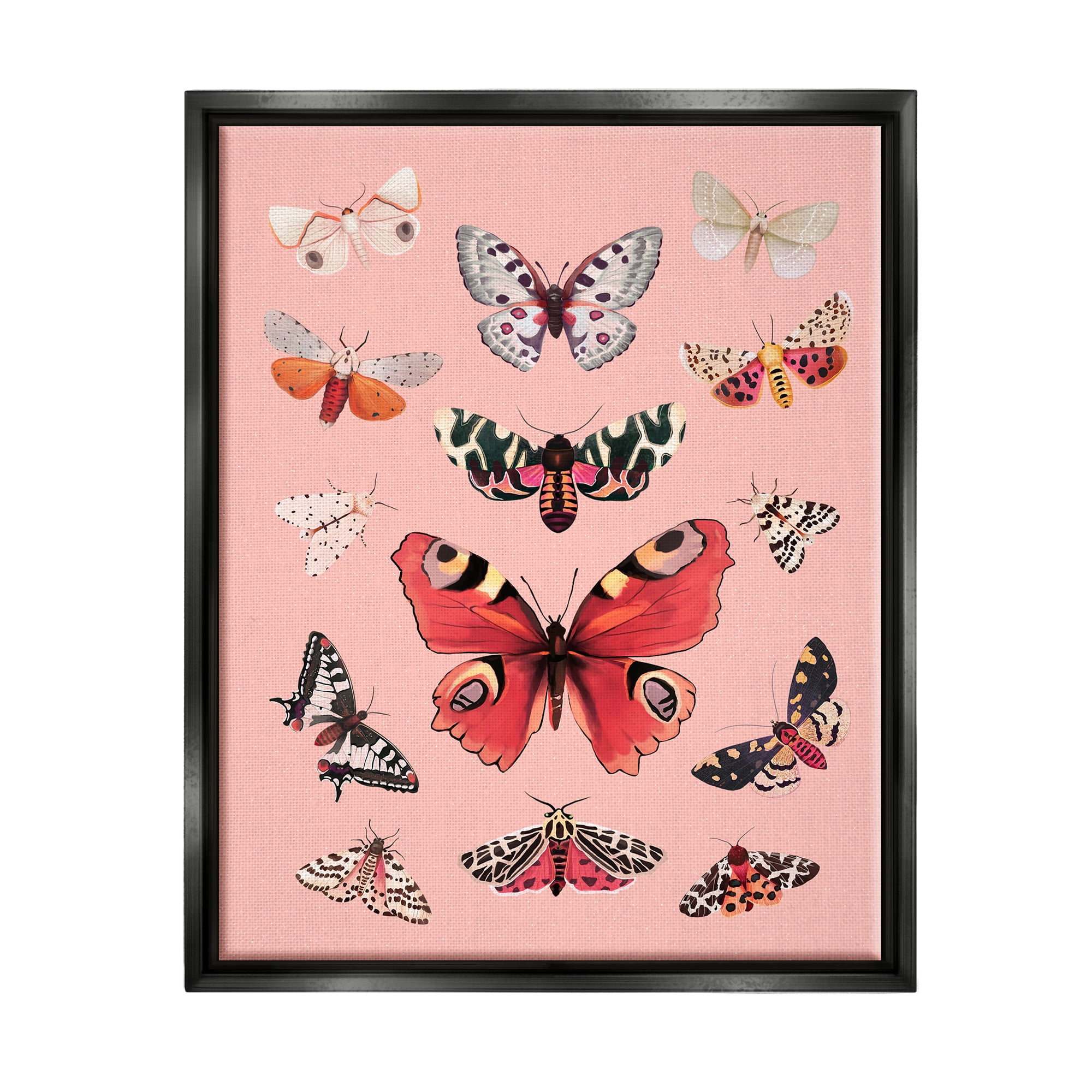 Stupell Industries Various Moths on Pink Animals & Insects Painting Black Floater Framed Art Print Wall Art, 25 x 31