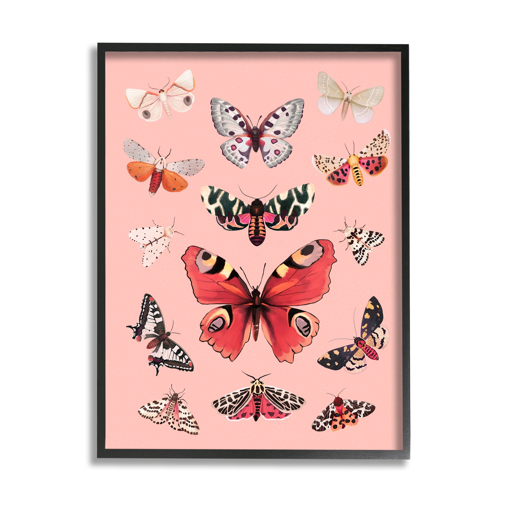 Stupell Industries Various Moths on Pink Animals & Insects Painting Black Framed Art Print Wall Art, 16 x 20