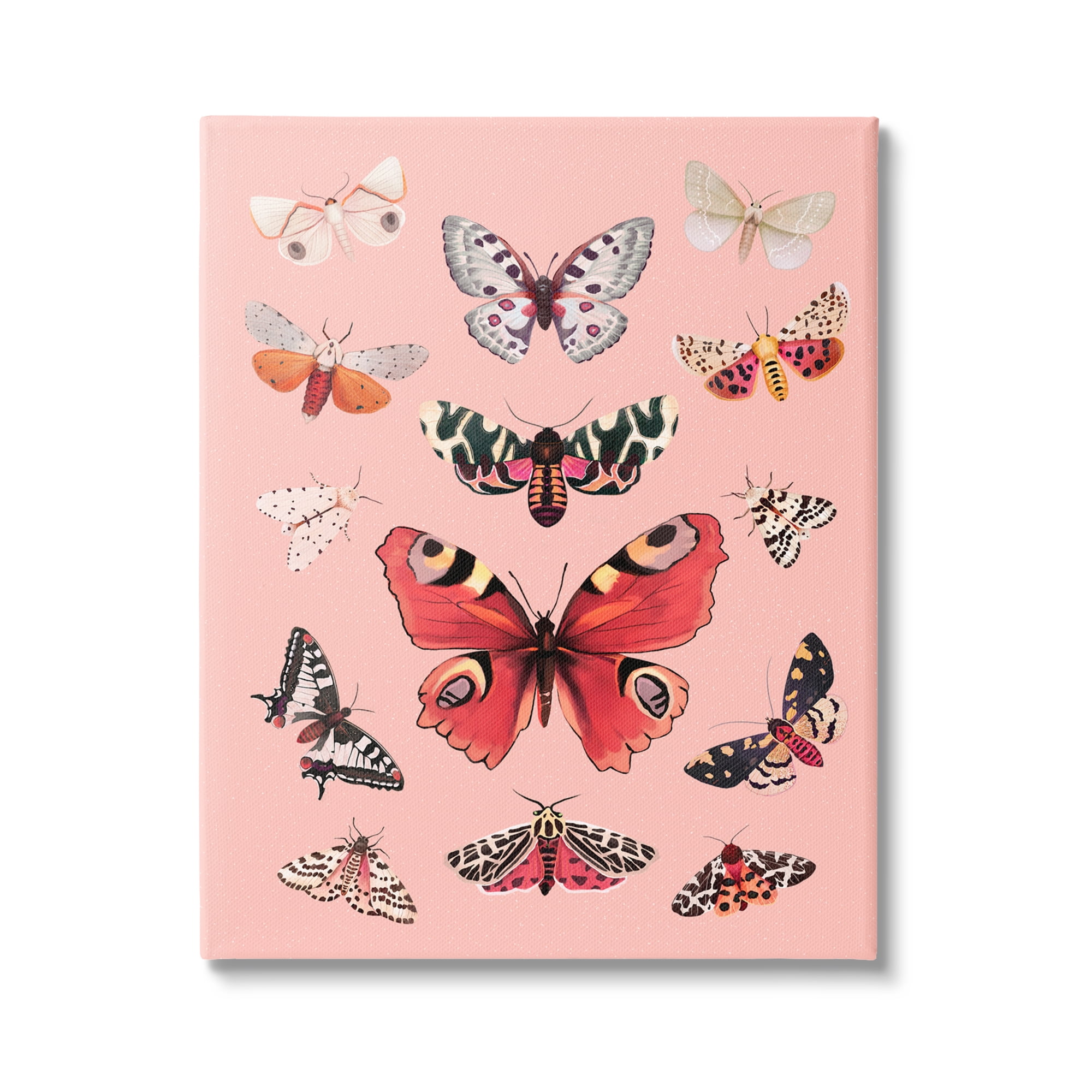 Stupell Industries Various Moths on Pink Animals & Insects Painting Gallery Wrapped Canvas Print Wall Art, 30 x 40
