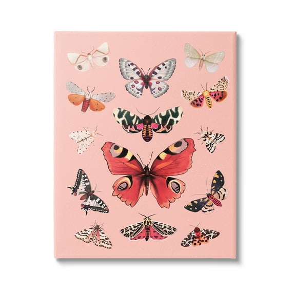 Stupell Industries Various Moths on Pink Animals & Insects Painting Gallery Wrapped Canvas Print Wall Art, 36 x 48