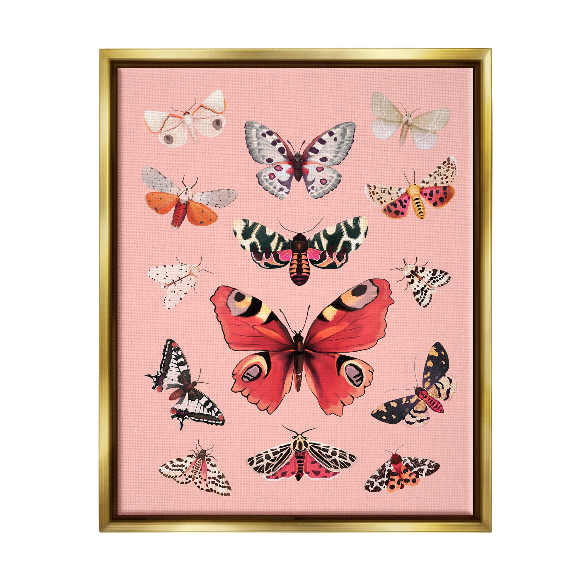 Stupell Industries Various Moths on Pink Animals & Insects Painting Gold Floater Framed Art Print Wall Art, 17 x 21