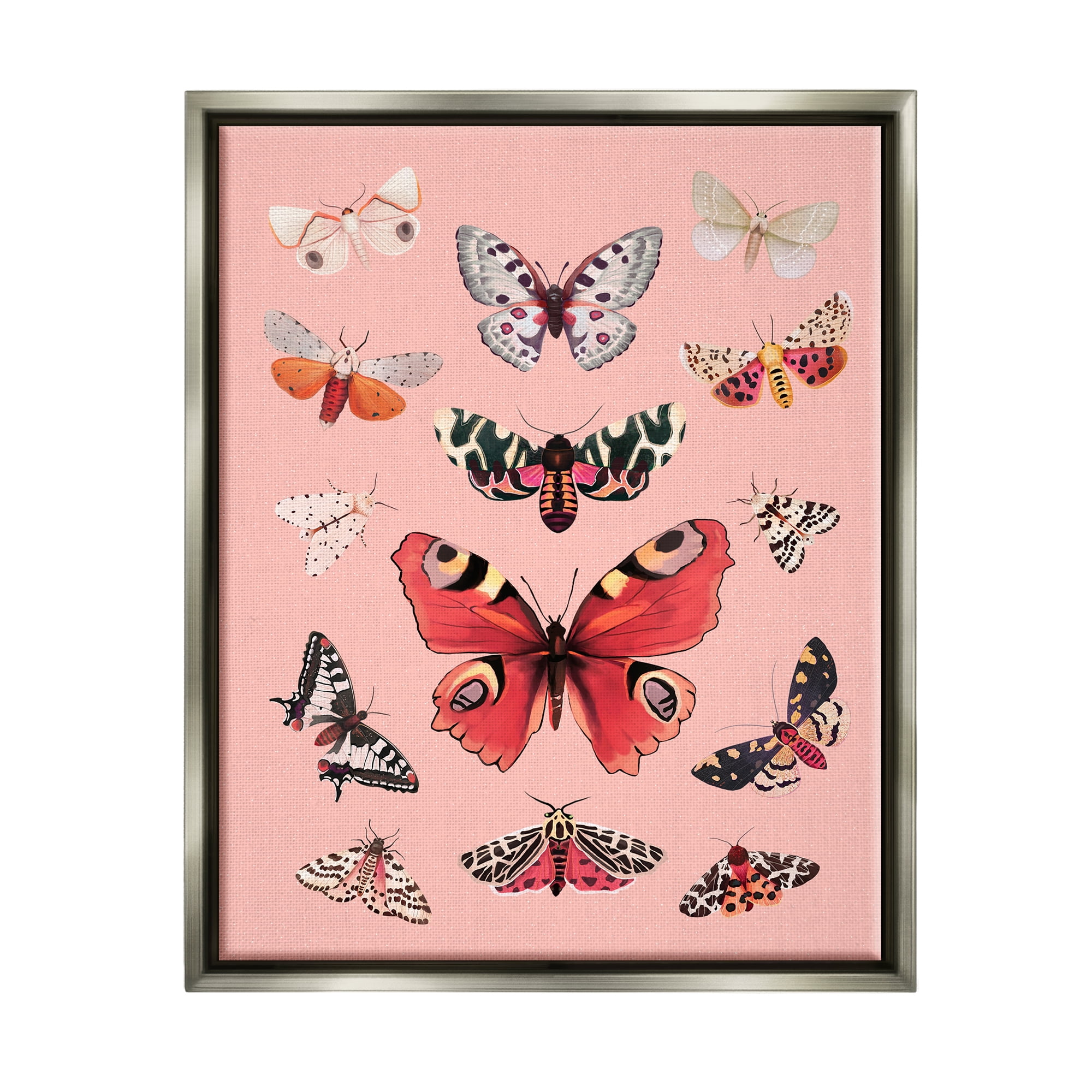 Stupell Industries Various Moths on Pink Animals & Insects Painting Gray Floater Framed Art Print Wall Art, 17 x 21