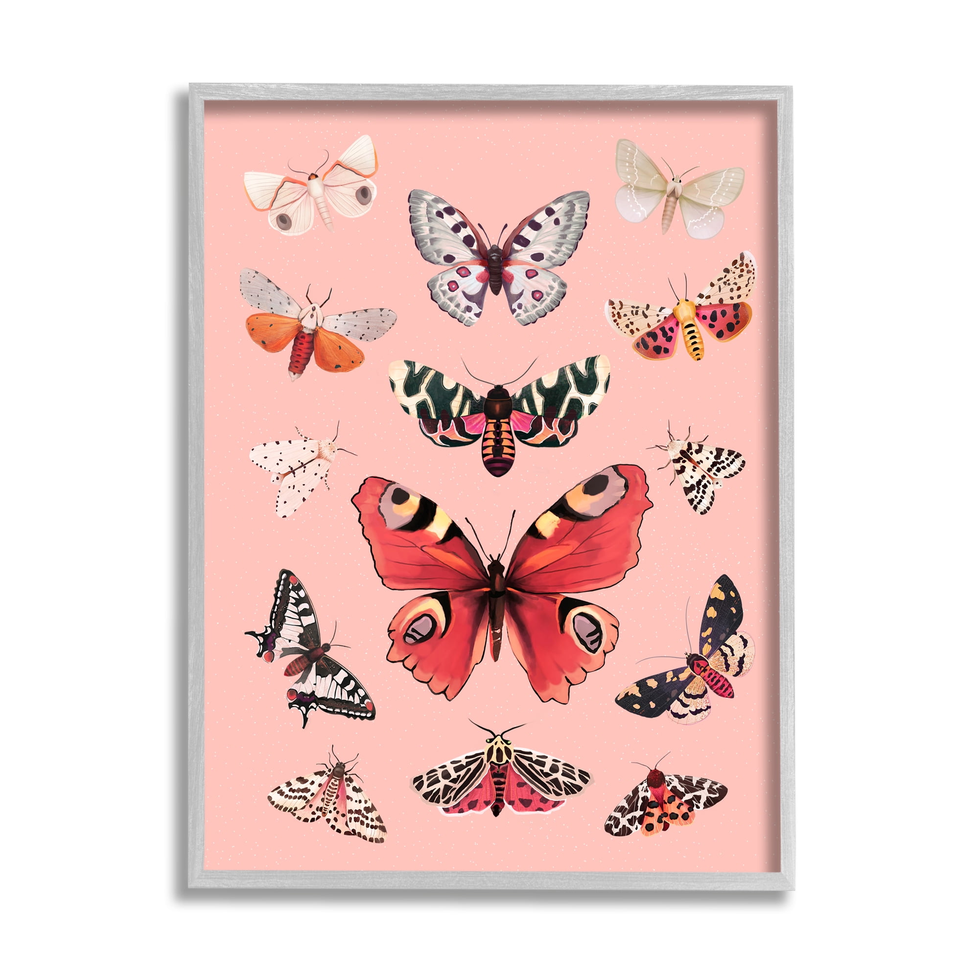Stupell Industries Various Moths on Pink Animals & Insects Painting Gray Framed Art Print Wall Art, 16 x 20