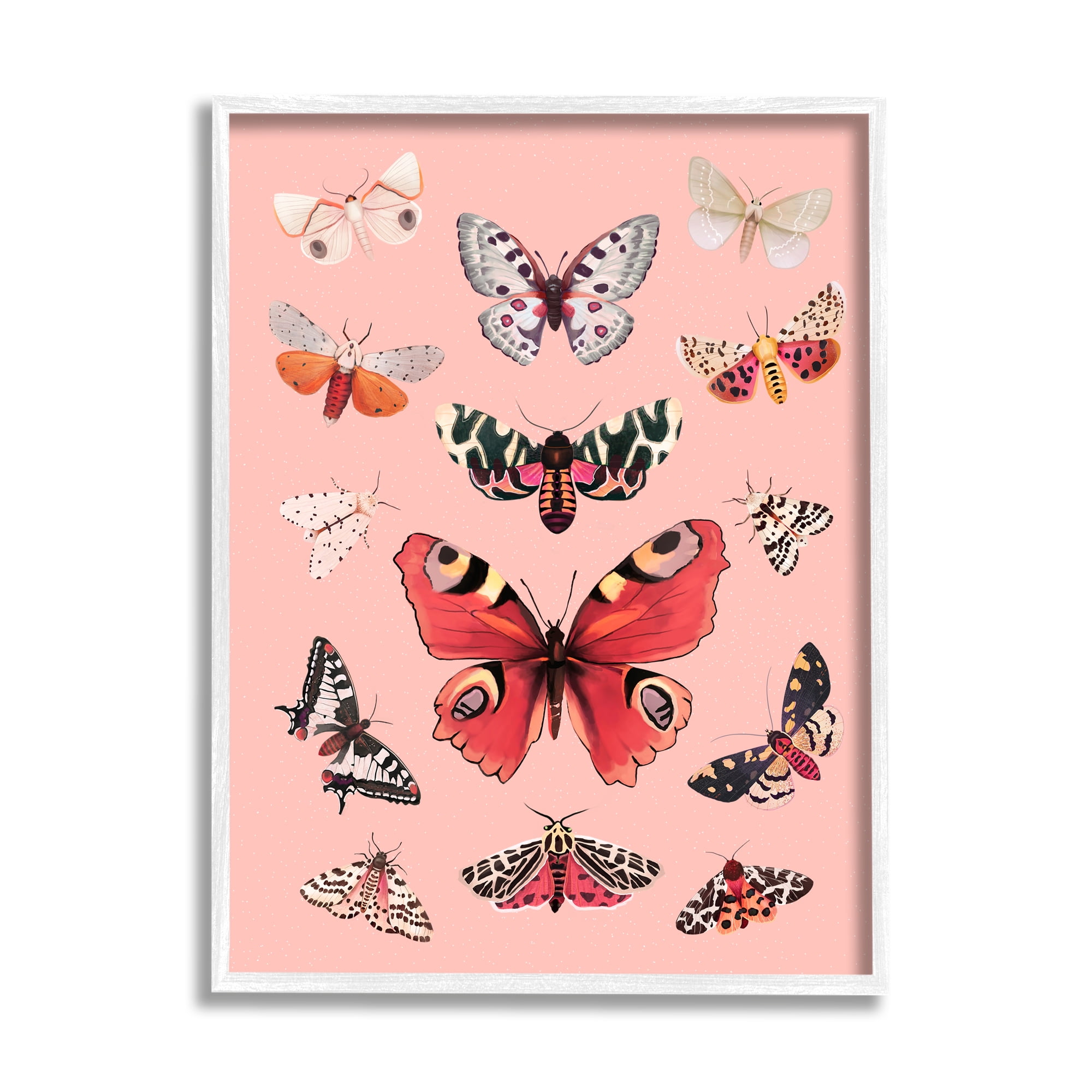Stupell Industries Various Moths on Pink Animals & Insects Painting White Framed Art Print Wall Art, 16 x 20