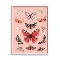 thumbnail image 1 of Stupell Industries Various Moths on Pink Animals & Insects Painting White Framed Art Print Wall Art, 24 x 30, 1 of 9