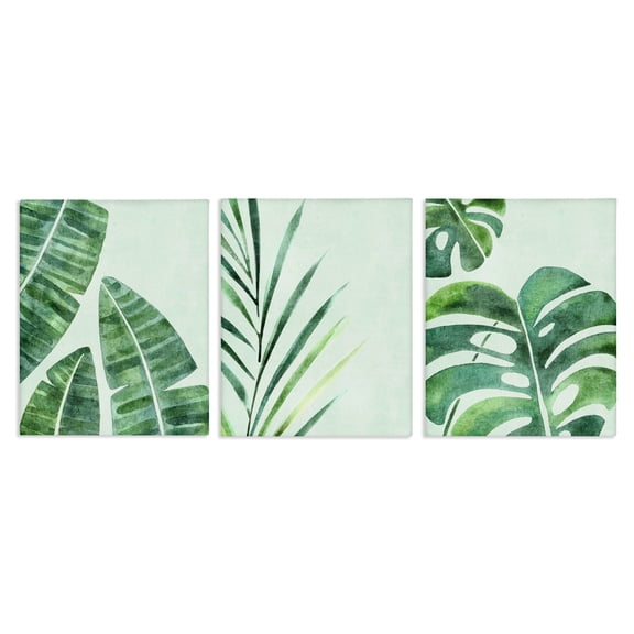Stupell Industries Various Plant Leaves Tropics 3 Piece Canvas Wall Art Set design by Camila Juncos, 20 x 16