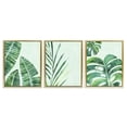 thumbnail image 1 of Stupell Industries Bohemian Various Plant Leaves Tropics Gold 3pc Floating Frame Art Set, 17 x 21 each, by Camila Juncos, 1 of 7