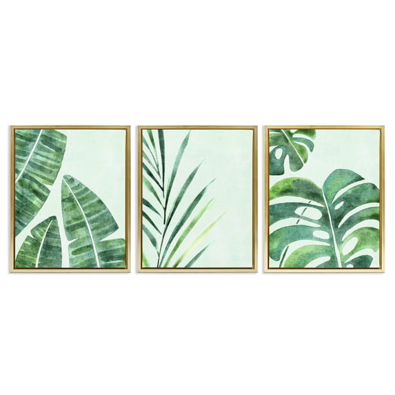 Stupell Industries Bohemian Various Plant Leaves Tropics Gold 3pc Floating Frame Art Set, 17 x 21 each, by Camila Juncos