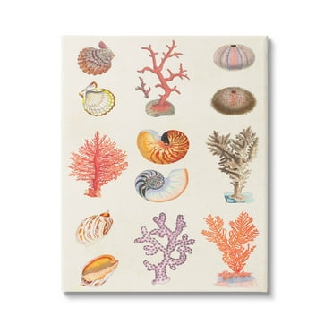 Stupell Industries Various Sea Life Nautical Latin Study Graphic Art Gallery Wrapped Canvas Print Wall Art, Design by Vision Studio