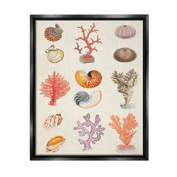 Stupell Industries Various Sea Life Nautical Latin Study Graphic Art Jet Black Floating Framed Canvas Print Wall Art, Design by Vision Studio